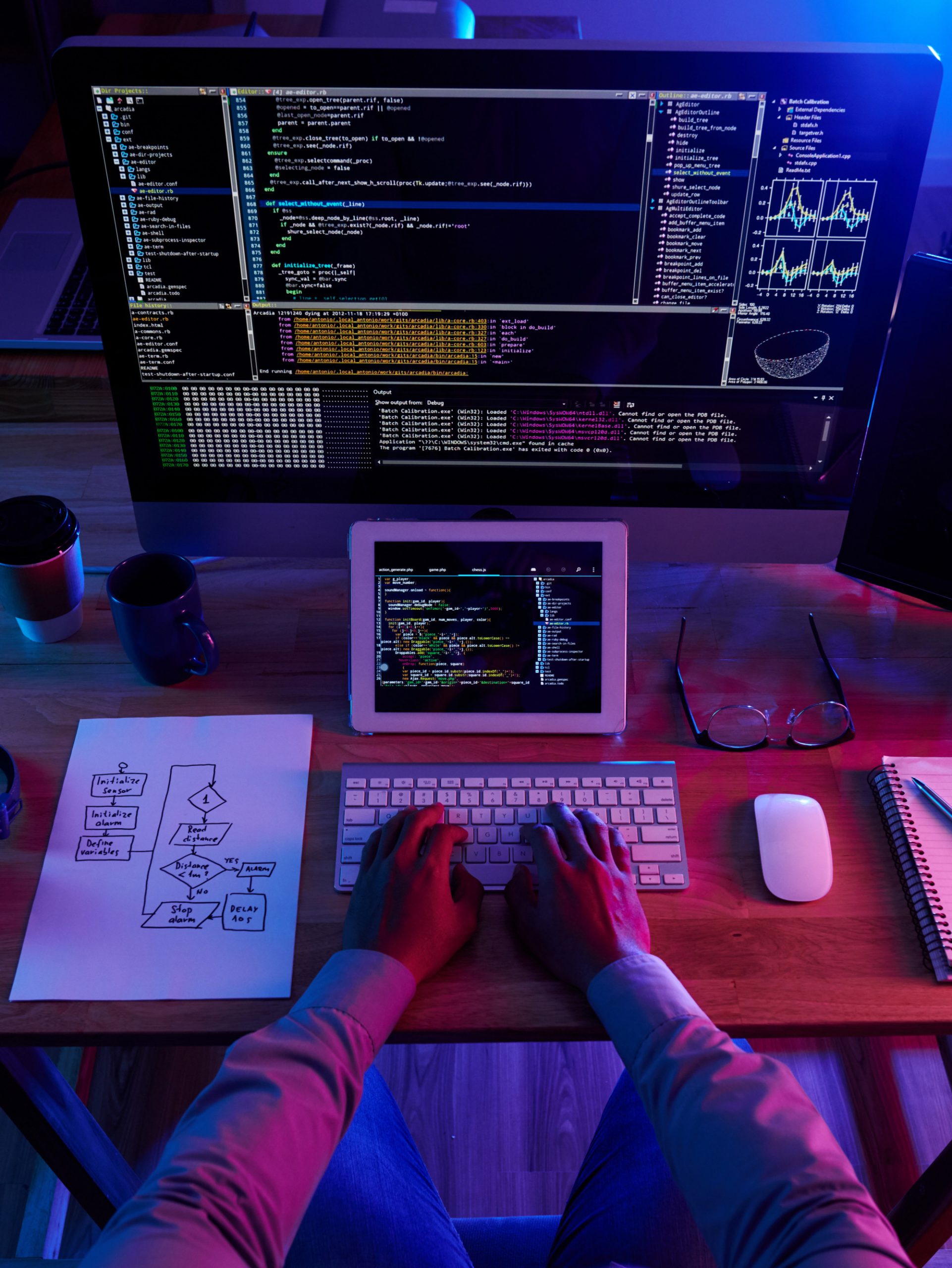 Custom Software Development, Lionence